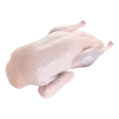 Duck Frozen Halal 1Pc