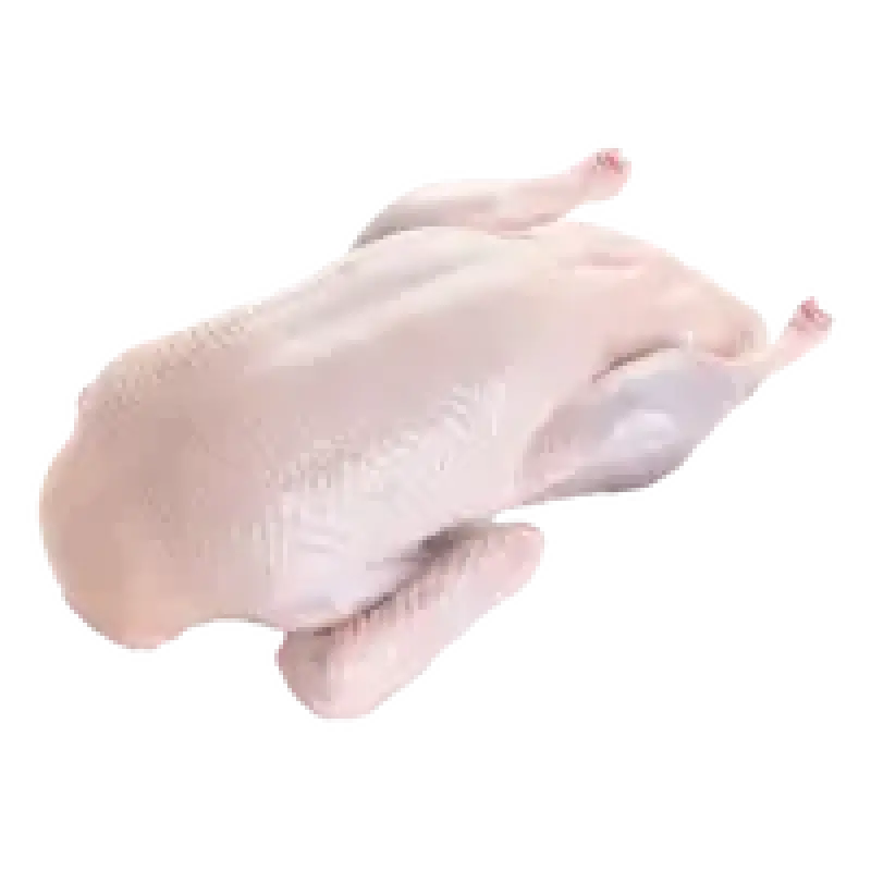 Duck Frozen Halal 1Pc
