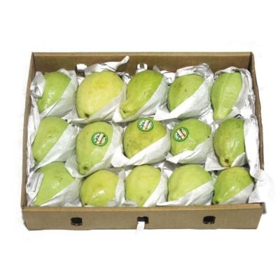 Fresh Egyptian Guava Fruit Box - Apx 2.7Kg