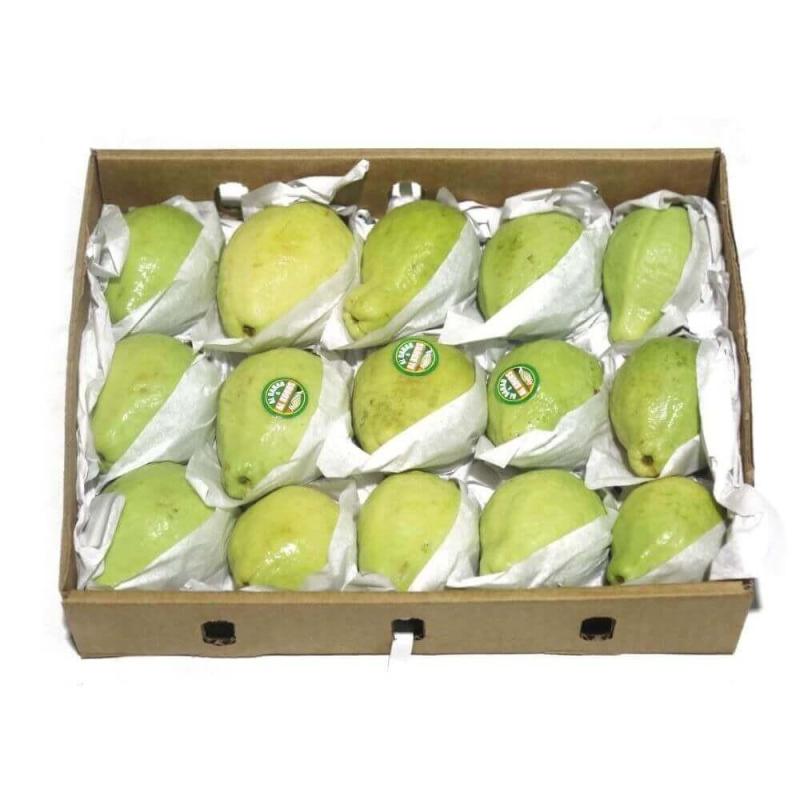 Fresh Egyptian Guava Fruit Box - Apx 2.7Kg