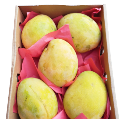 Egyptian Jasmine Mango - apx 2kg